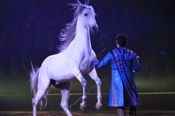 Apassionata_2014    010.jpg